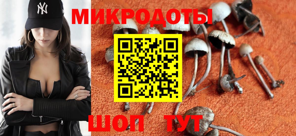Псилоцибиновые грибы Psilocybine cubensis  Вход с VPN  Галлюциногенные грибы Cubensis  Ижевск 